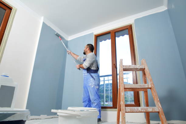 Best Mold Odor Removal Services  in Mountain View, AR