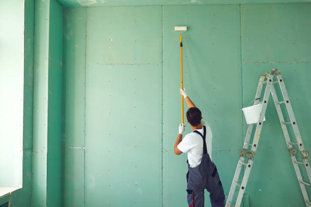 Best Attic Mold Removal  in Mountain View, AR