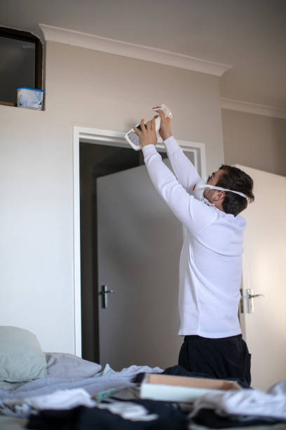 Trusted Mountain View, AR Mold Removal Experts