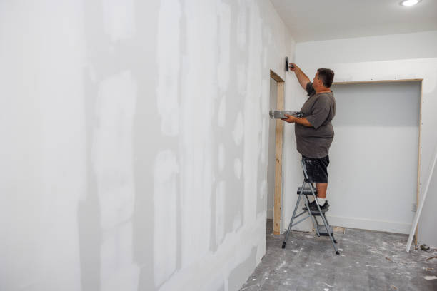 Best Water Damage & Mold Remediation  in Mountain View, AR