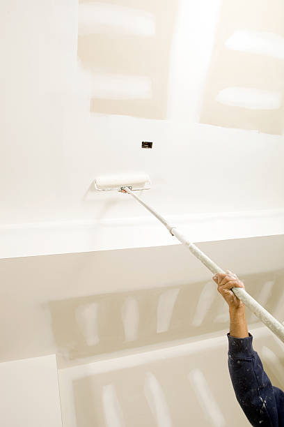 Best Real Estate Mold Inspection  in Mountain View, AR