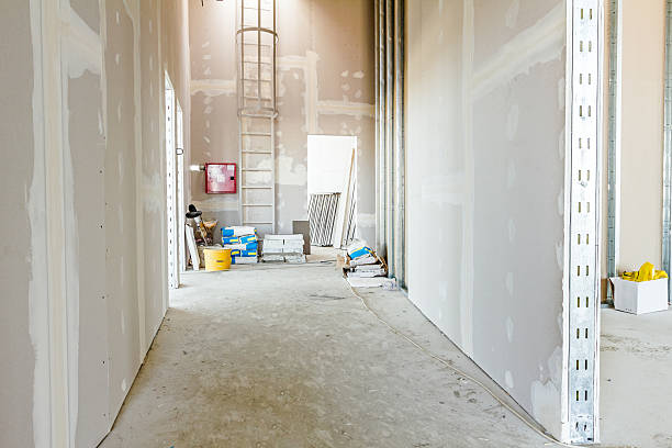 Best Dehumidification Services  in Mountain View, AR