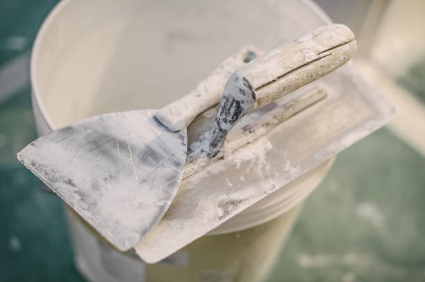 Best Mold Prevention Services  in Mountain View, AR